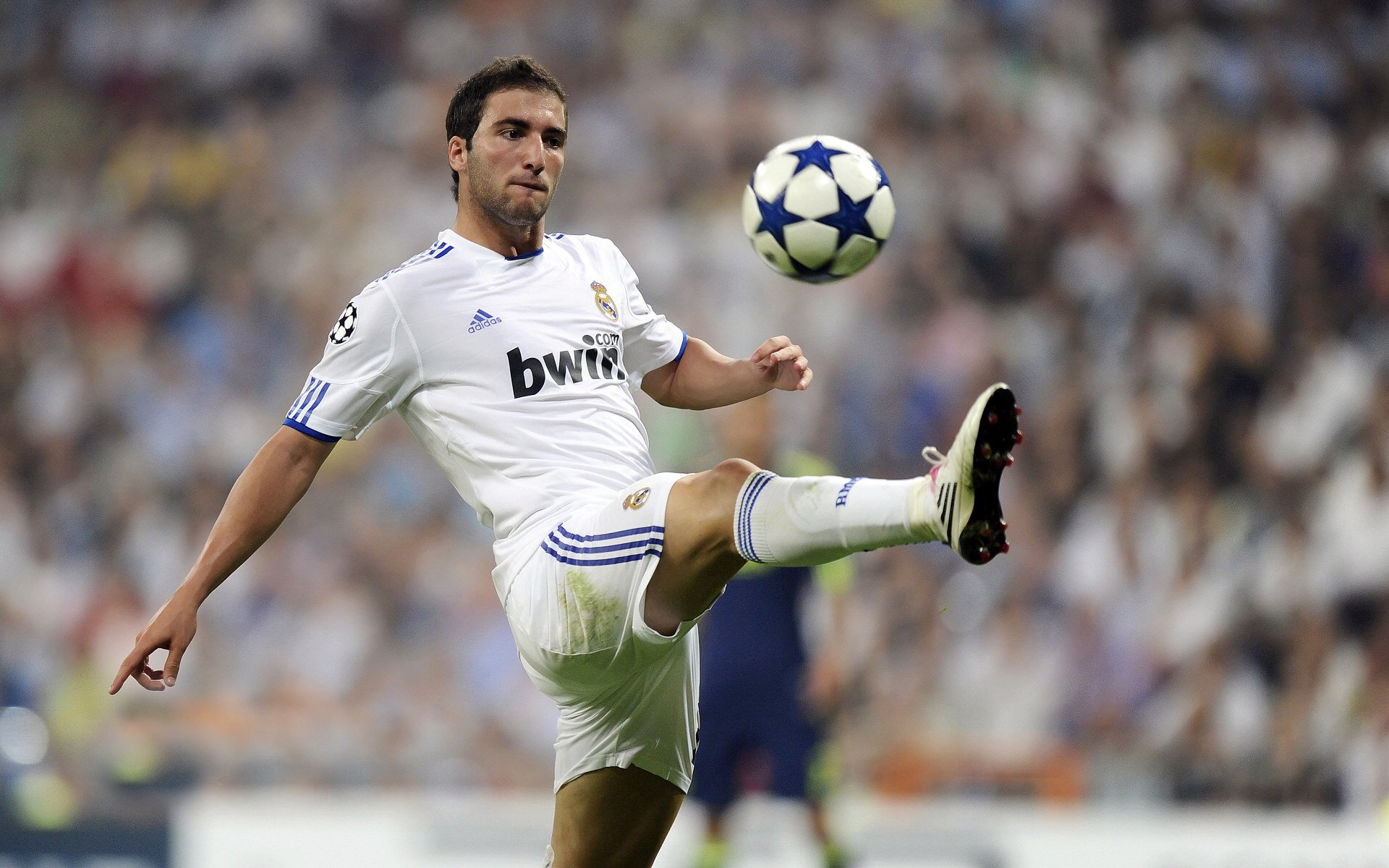 都灵主场战平南特,双方搏得平局,都灵简介